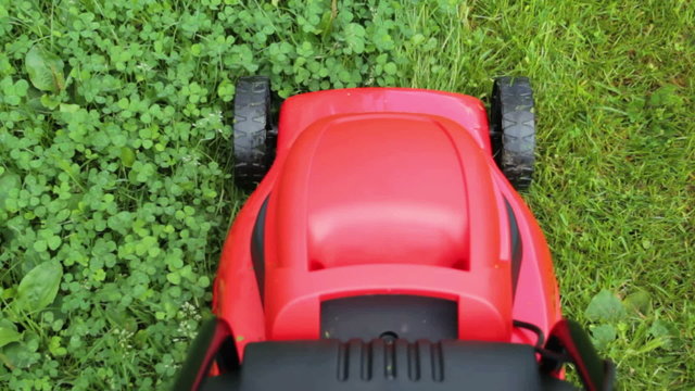 new lawnmower cutting green grass in cloudy day
