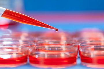 petri dishes and micropipette, pathogens test