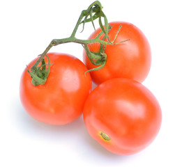 Bunch of fresh tomatoes