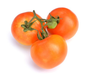 Bunch of fresh tomatoes