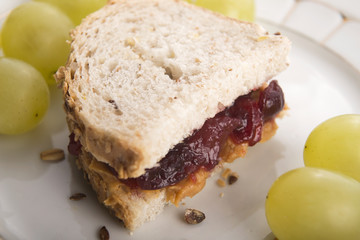 Peanut Butter and Jelly Sandwich