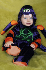 baby halloween spider