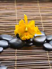 Zen rock and macro of yellow orchid on mat