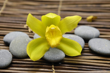 Macro of yellow orchid with stones on mat