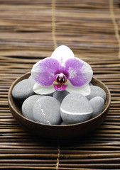 Obraz na płótnie Canvas gorgeous orchid with gray stones in wooden bowl on mat