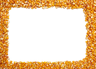 frame made of  corn seeds with white background