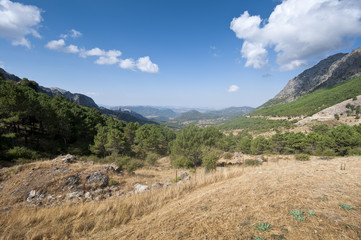 Grazalema Natural Park, Cadiz, Andalusia, Spain