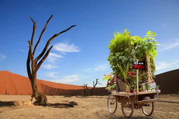 Delivery man on his bike delivering plants and flowers in the de