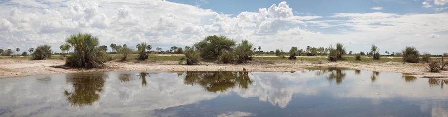 Fototapeten African landscape with trees reflected in water © piccaya