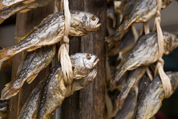 Dried salty fish hanging on the store
