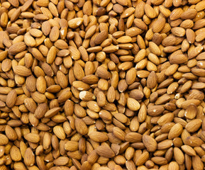 Almond