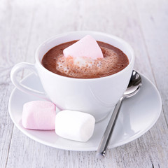hot chocolate with marshmallows