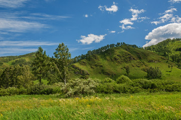 Mountains, sky, grassland