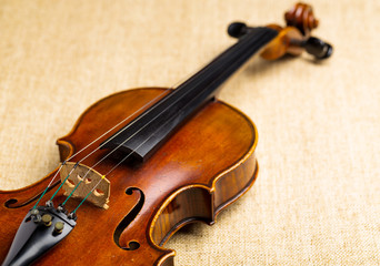 Violin