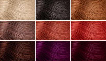 Example of different hair colors