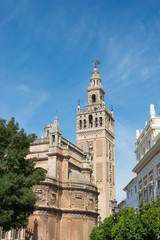 Fototapeta na wymiar Giralda tower at Seville cathedral