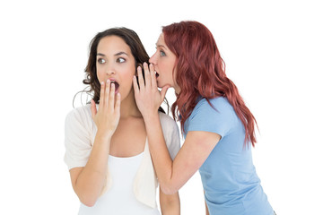 Two young female friends gossiping