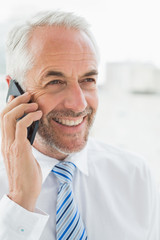 Smiling mature businessman using mobile phone