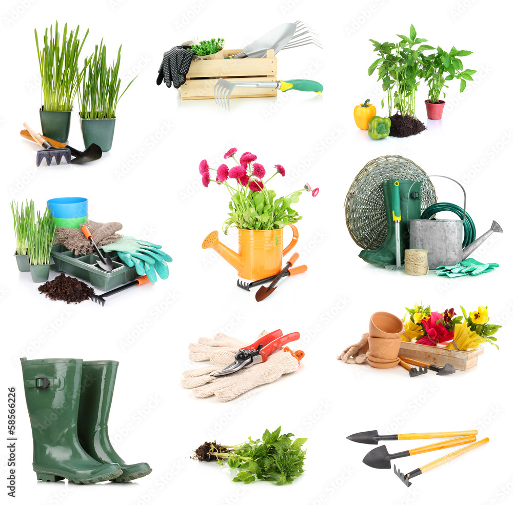 Wall mural collage of gardening equipment isolated on white