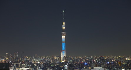View of Tokyo Sky Tree