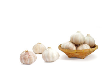 Garlic