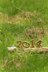 Happy New Year 2014 on grasses in the garden, natural concept.