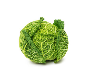 Fototapeta premium Savoy cabbage isolated
