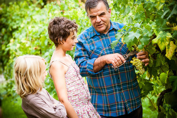 Grandfather and his grandchildren in vineyard .