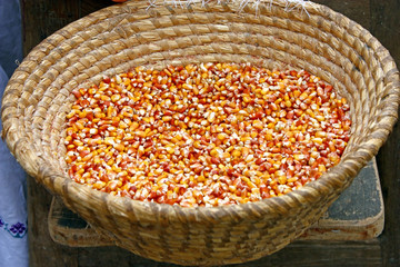 Dried corn