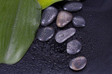 black pidras spa decoration