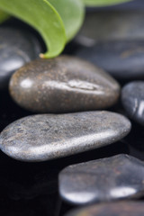 black pidras spa decoration