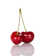 Two red ripe sweet cherries