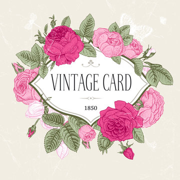 Vector vintage postcard. Frame of blooming pink roses.