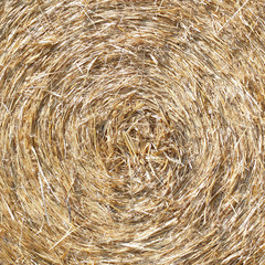 Bale of straw texture background