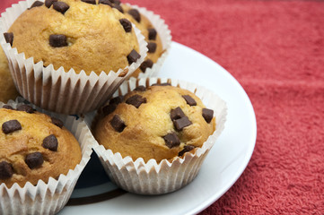chocolate muffins