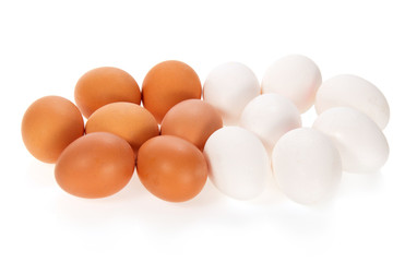The white and brown eggs
