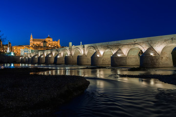 Obraz premium Mezquita and roman bridge