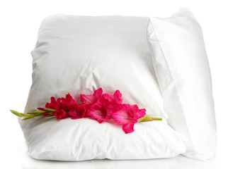 Fototapeta na wymiar poduszki i kwiat, odizolowane na białym