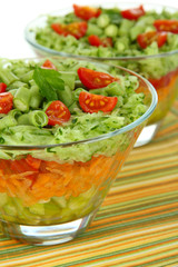 Tasty salad with fresh vegetables