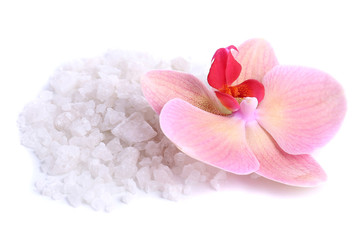 Beautiful blooming orchid flower  and heap of sea salt,