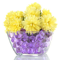 Beautiful flowers in vase with hydrogel isolated on white