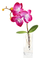 Naklejka na ściany i meble Beautiful artificial orchid, isolated on white