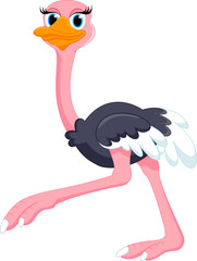 cute ostrich cartoon