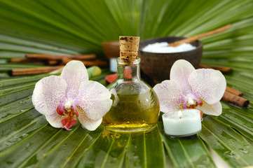 Obraz na płótnie Canvas orchid with candle, oil ,salt in bowl on palm leaf texture