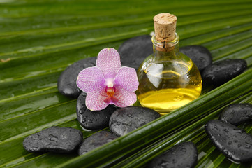 Obraz na płótnie Canvas gorgeous orchid with wet spa stones ,massage oil on palm