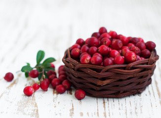Fresh red cranberries