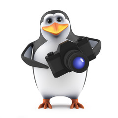 Penguin has become a photographer