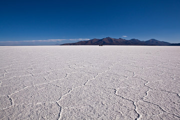Bolivia - Salar Uyuni - 58594851