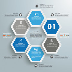 Hexagon Business Infographic