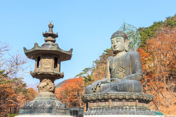 statue of buddha at shinheungsa temple